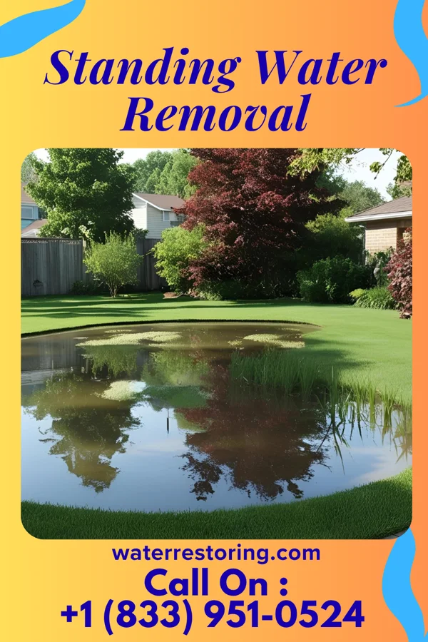 Standing Water Removal in Horseshoe Bend, TX